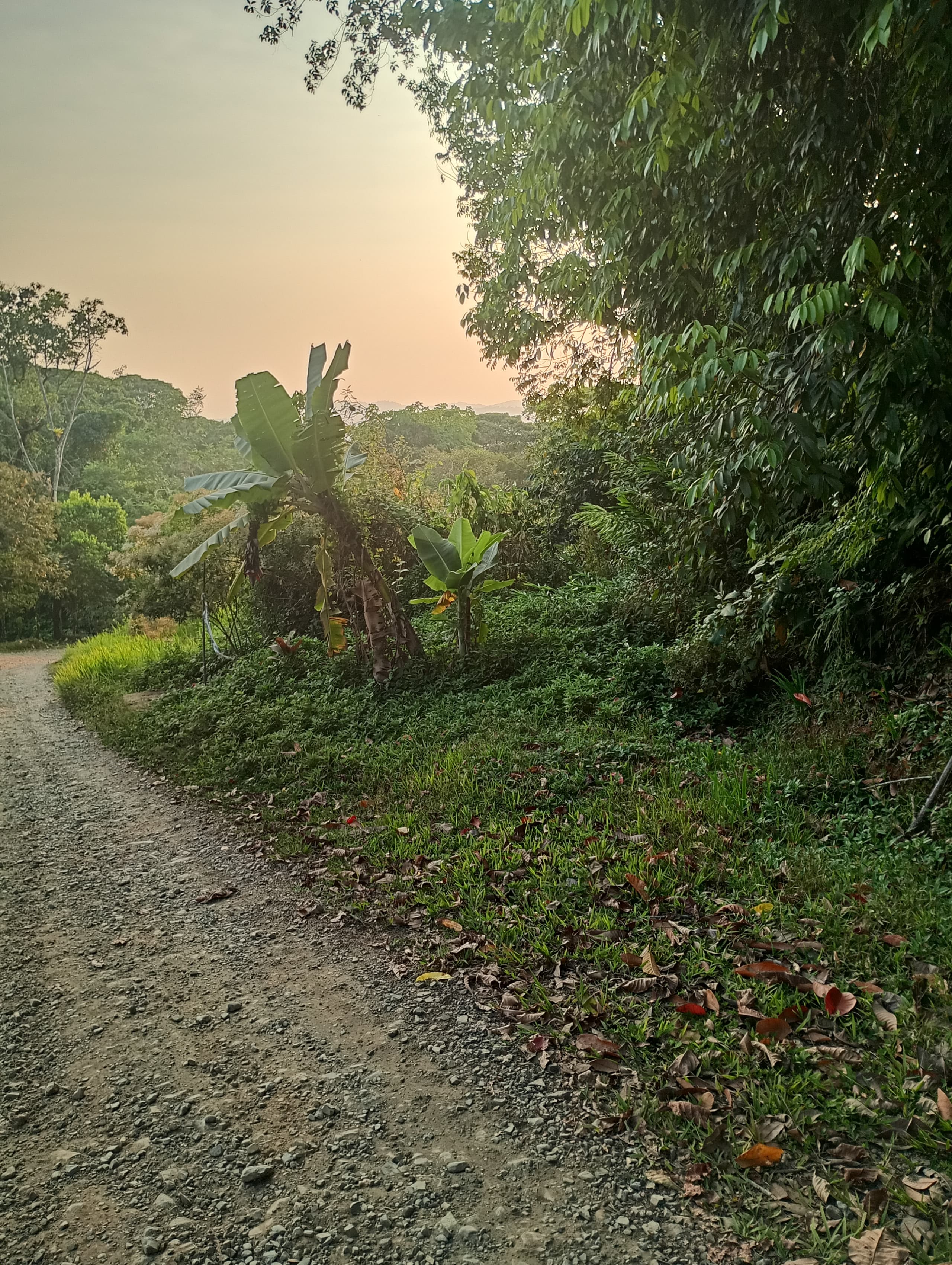 Public road frontage along the parcel