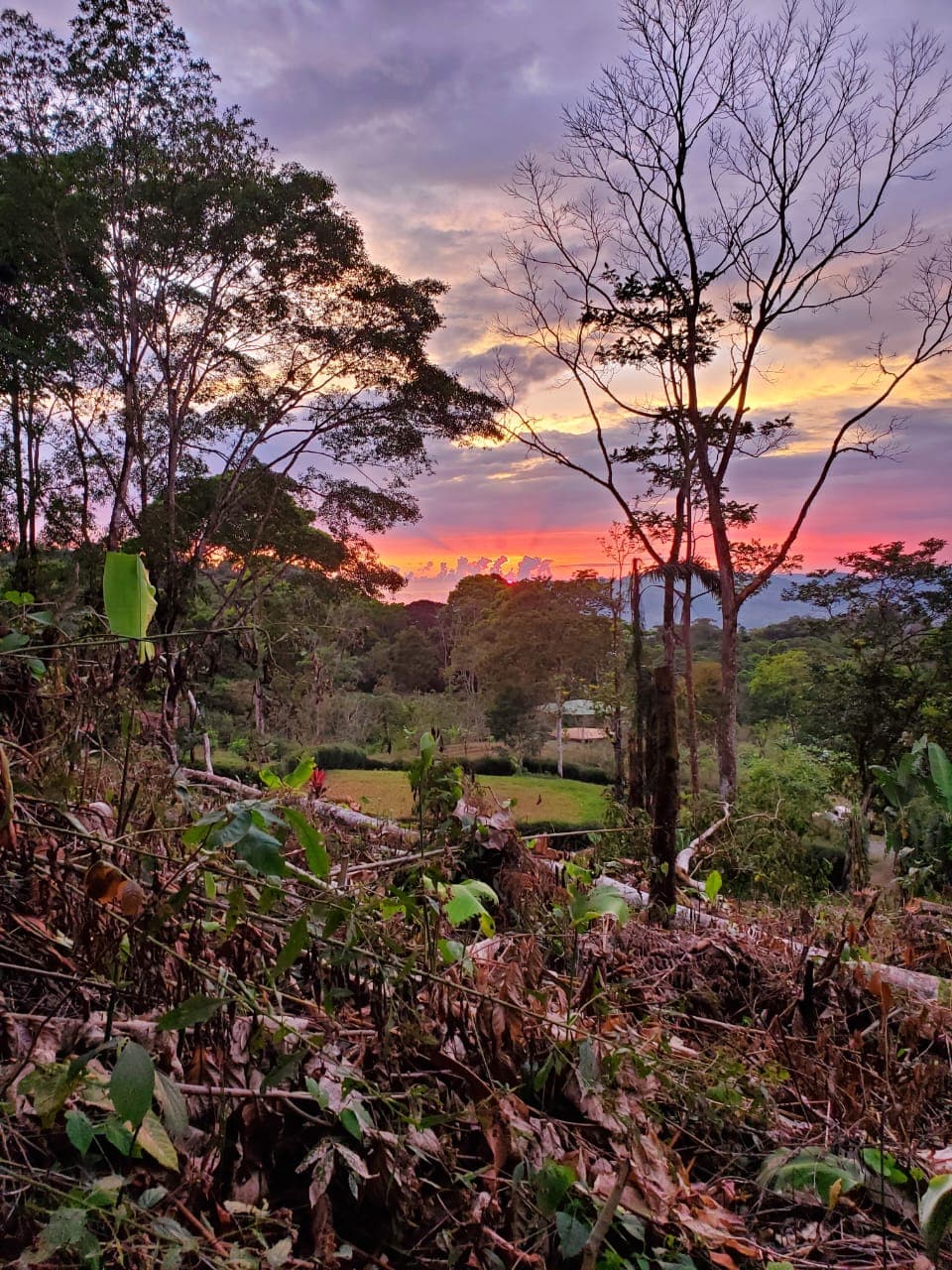 Lot 3 Homesite — Lot 3
